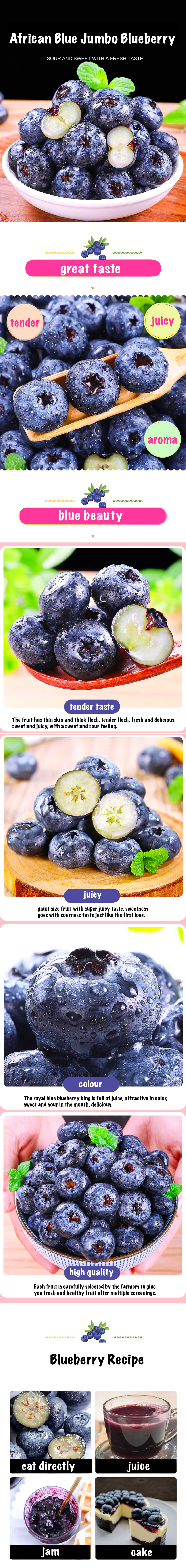 Delicious and Nutritious Jumbo Blueberries in Singapore